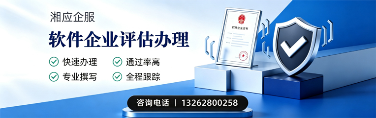 连云港软件企业评估申报服务