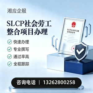 连云港SLCP社会劳工整合项目申报服务