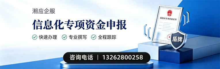 连云港信息化专项资金申报服务