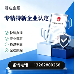 连云港专精特新企业申报服务