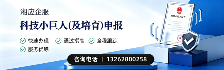 连云港科技小巨人及培育企业申报服务