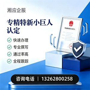 连云港专精特新小巨人申报服务