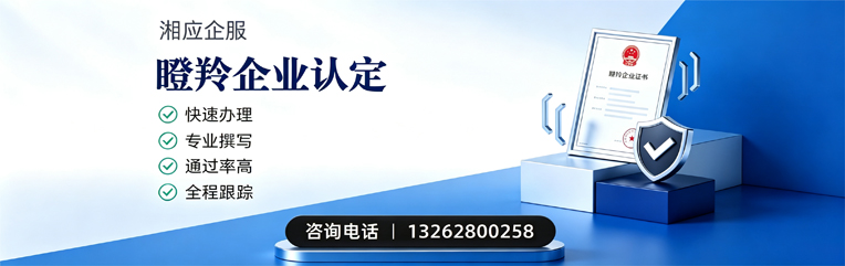 连云港瞪羚企业认定申报服务