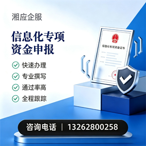 连云港信息化专项资金申报服务