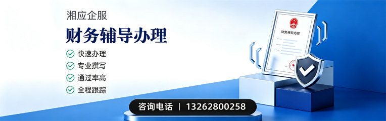 连云港财务辅导申请服务
