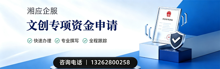 连云港文创专项资金申报服务