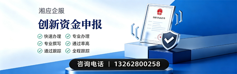 连云港创新资金申报服务