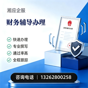 连云港财务辅导申请服务