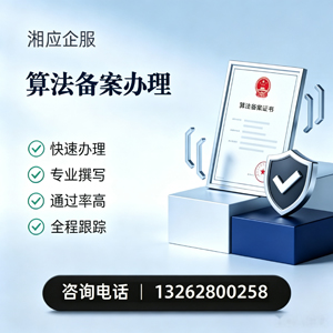 连云港算法备案申报服务
