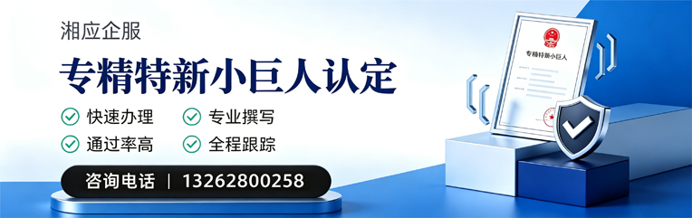 连云港专精特新小巨人申报服务